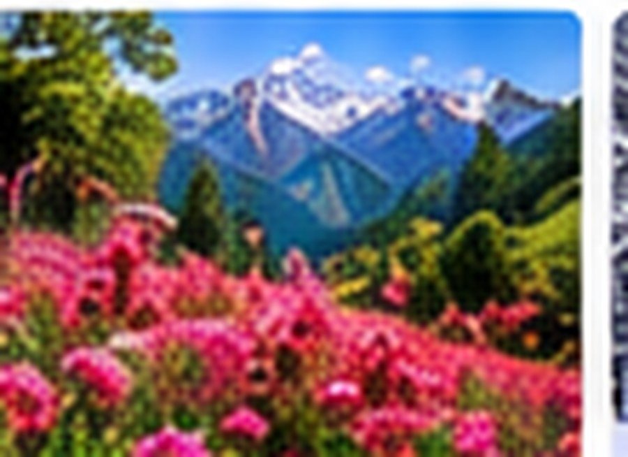 Didina nature