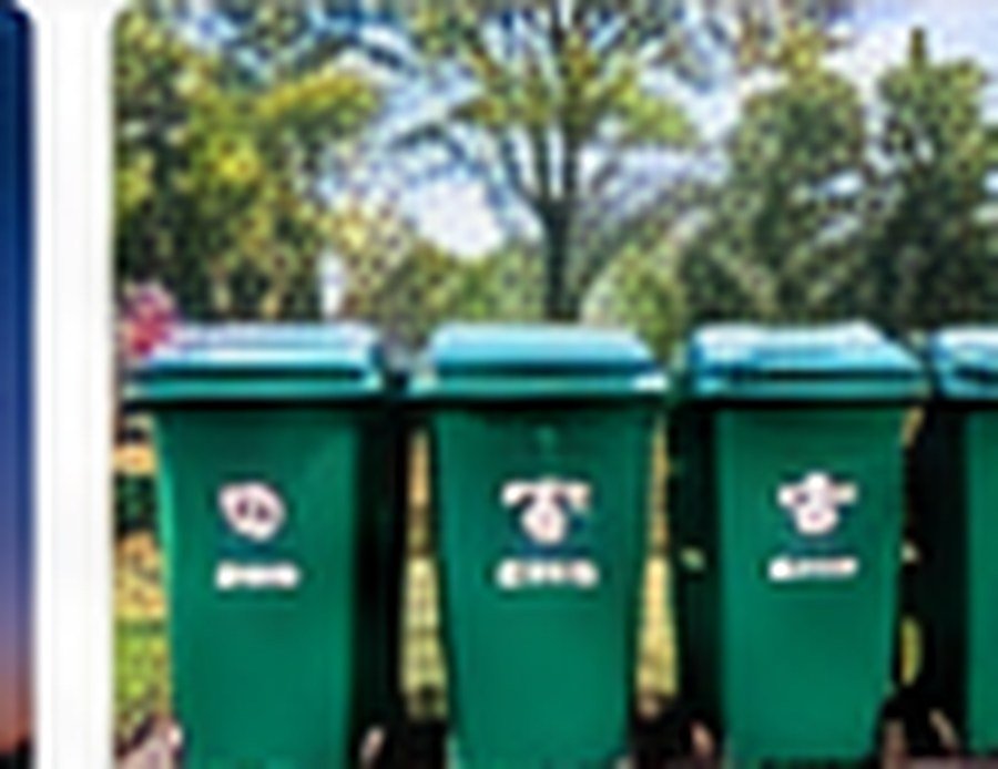 Clean Village (Dustbins)